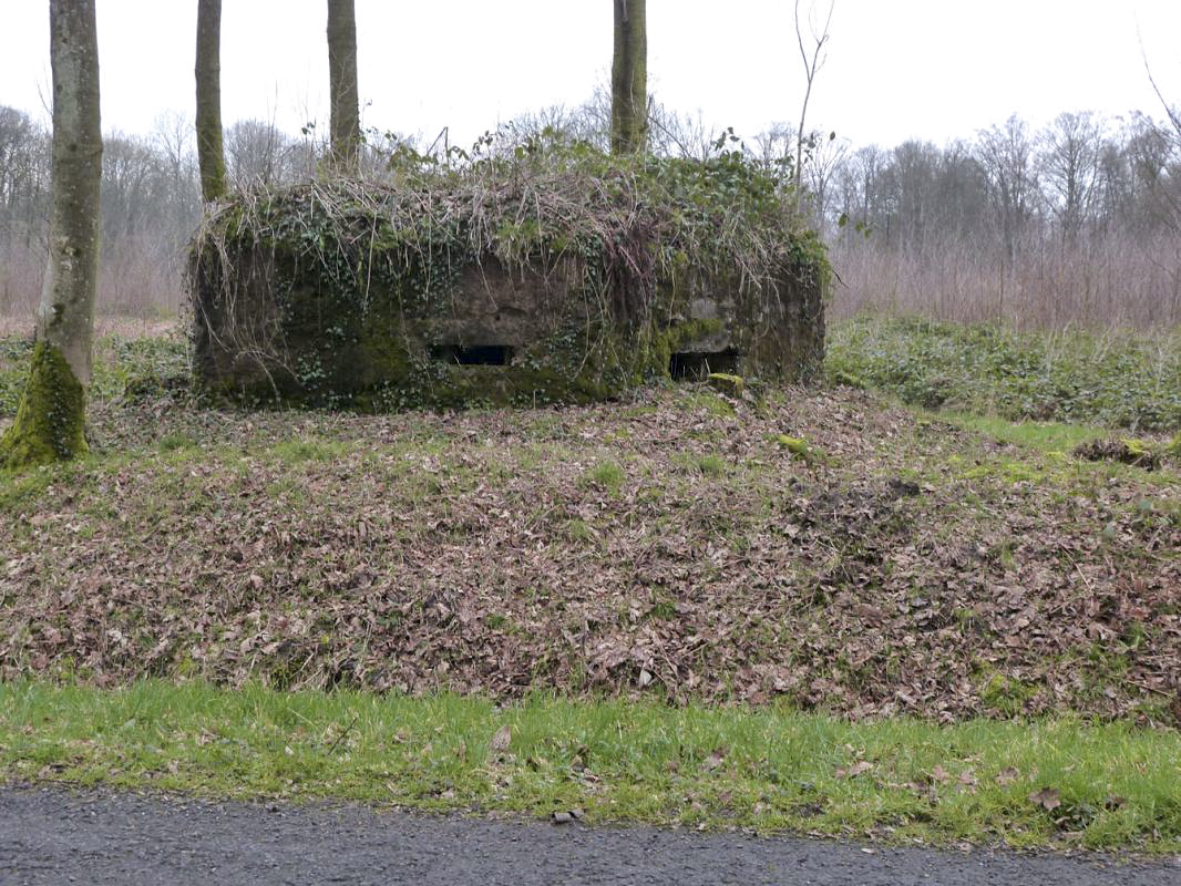 Ligne Maginot - BA14 - LA CANTINE NORD - (Blockhaus pour canon) - 