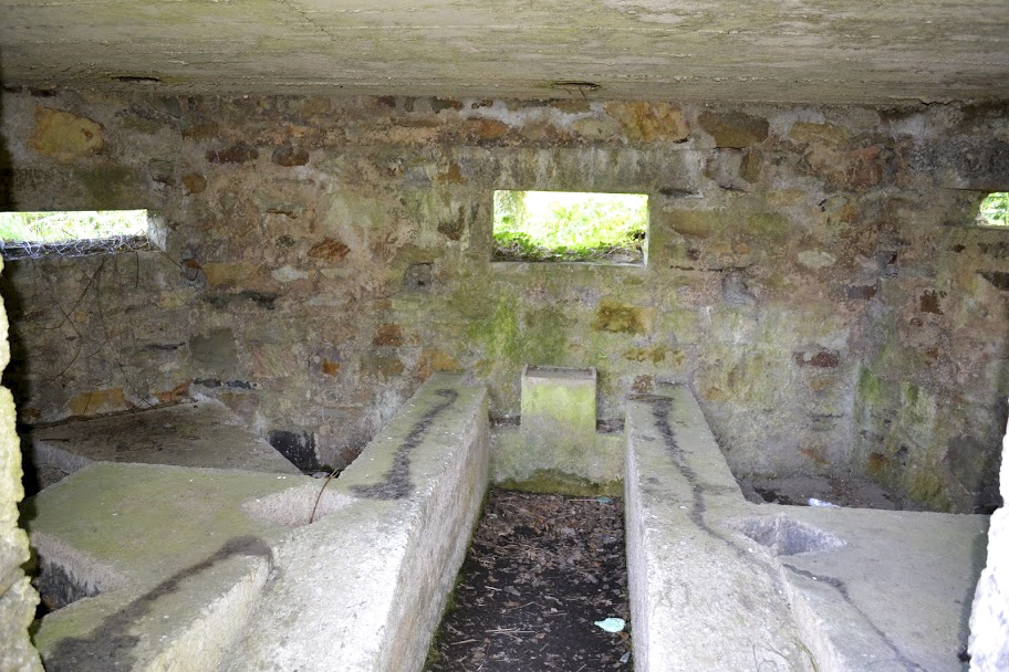 Ligne Maginot - BA14 - LA CANTINE NORD - (Blockhaus pour canon) - 