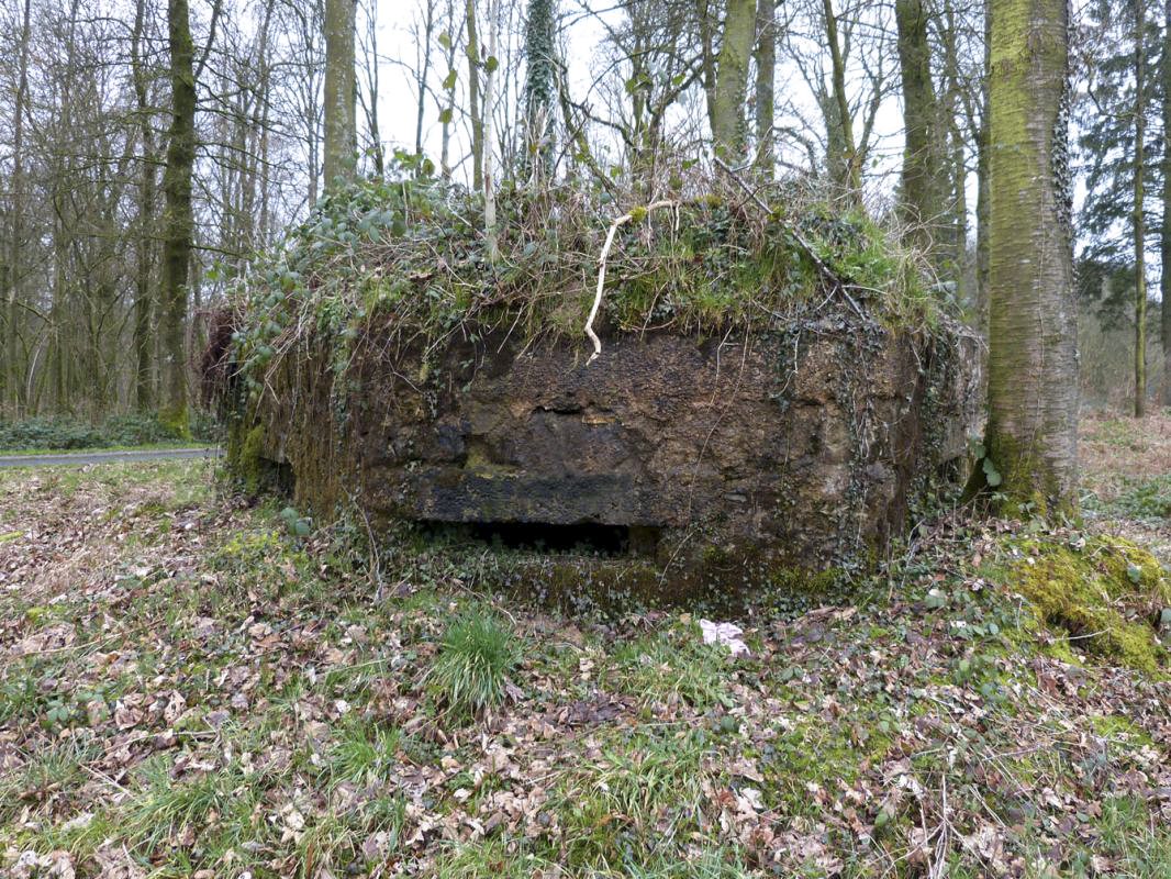 Ligne Maginot - BA14 - LA CANTINE NORD - (Blockhaus pour canon) - 