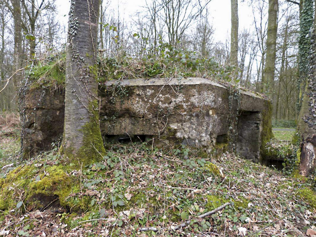 Ligne Maginot - BA14 - LA CANTINE NORD - (Blockhaus pour canon) - 