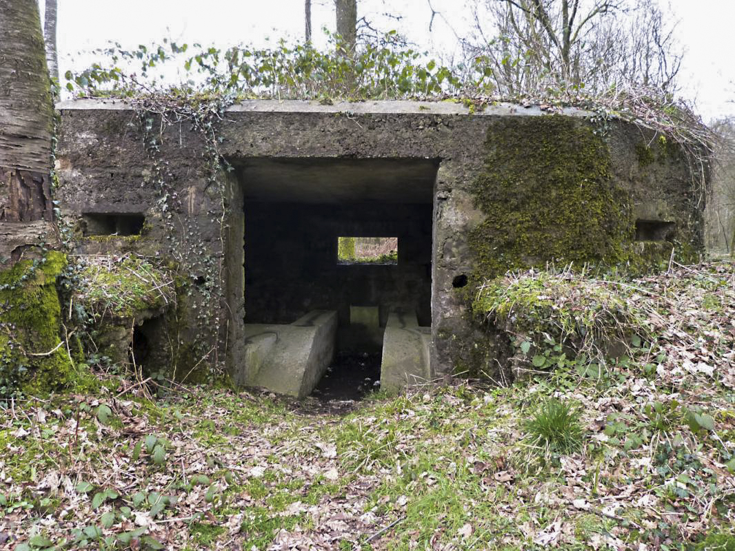 Ligne Maginot - BA14 - LA CANTINE NORD - (Blockhaus pour canon) - 