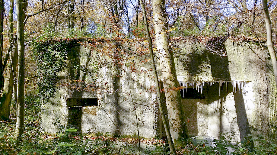 Ligne Maginot - A11 - ACCOTEMENT OUEST - (Blockhaus pour canon) - 