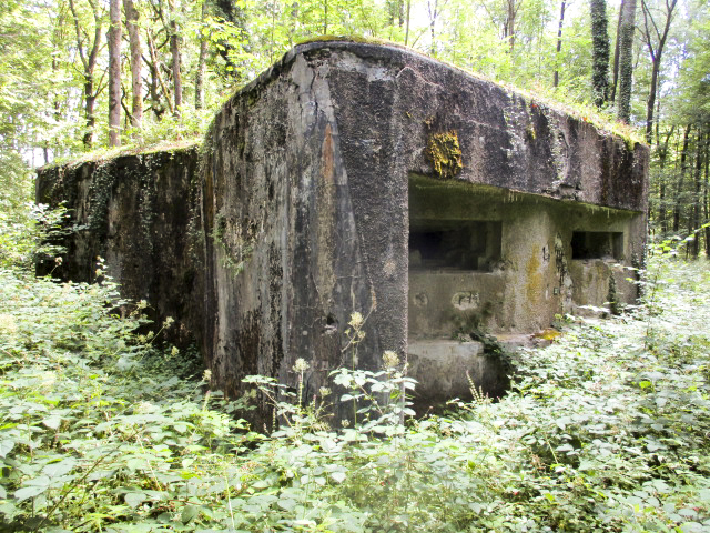 Ligne Maginot - A25 - PATTE D'OIE - (Blockhaus pour canon) - 