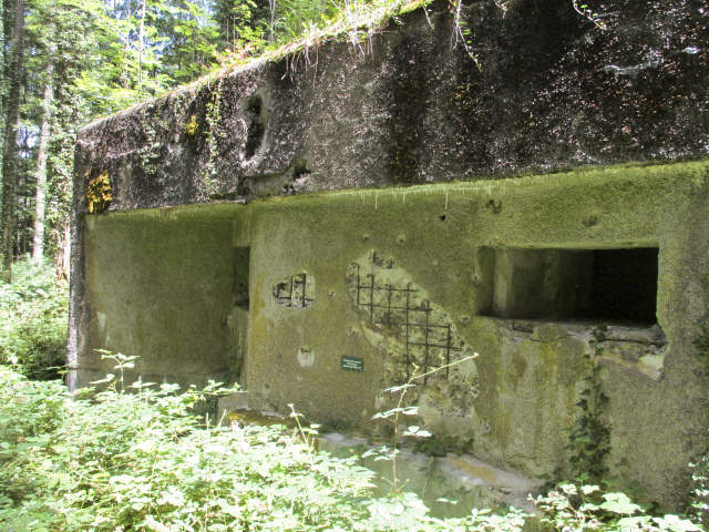 Ligne Maginot - A25 - PATTE D'OIE - (Blockhaus pour canon) - 