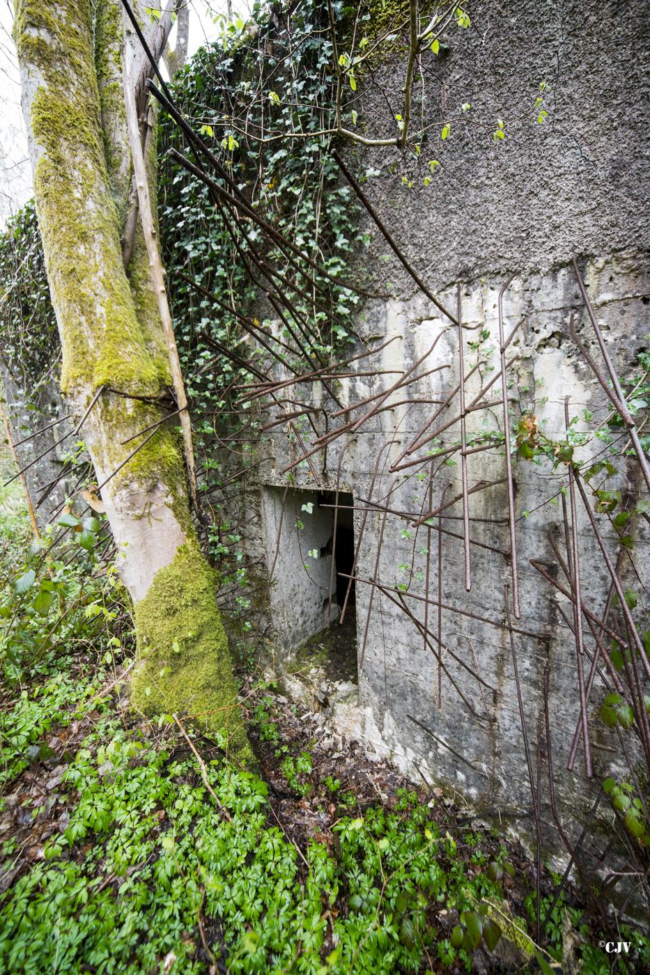 Ligne Maginot - A20 - PEUPLIER OUEST - (Blockhaus pour canon) - 