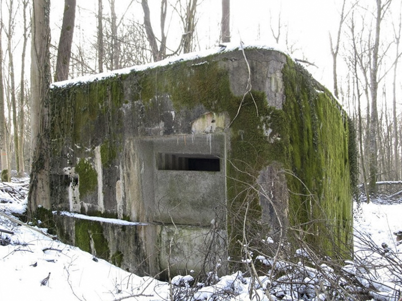 Ligne Maginot - A24 - FRENE - (Blockhaus pour canon) - 
