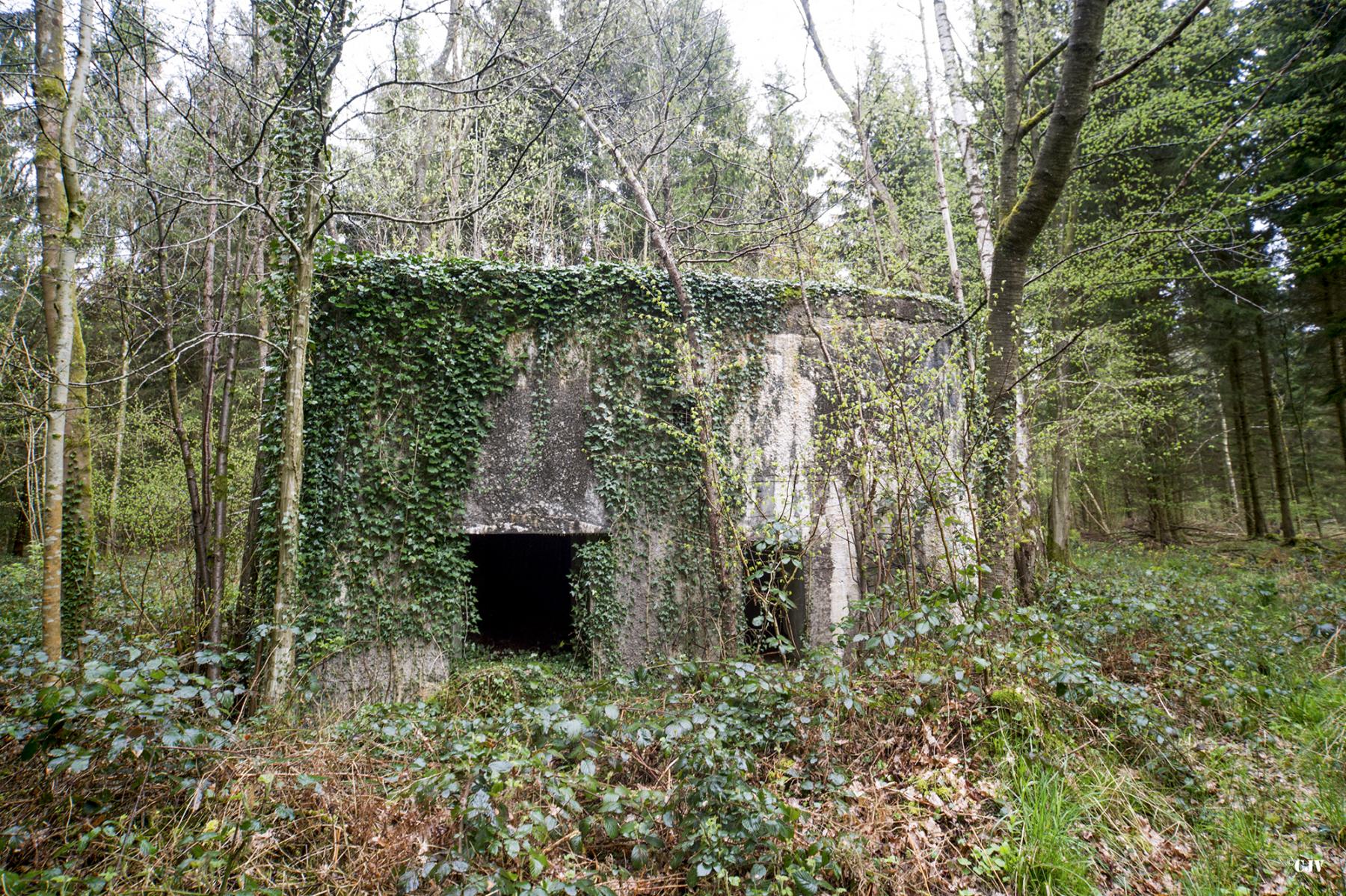 Ligne Maginot - A15 - LE BUCHERON - (Blockhaus pour canon) - 