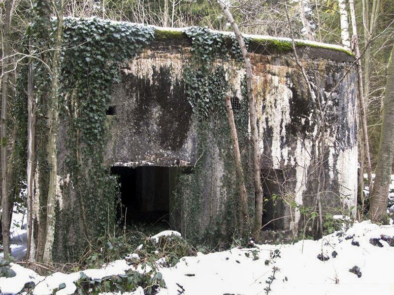 Ligne Maginot - A15 - LE BUCHERON - (Blockhaus pour canon) - Le entrées