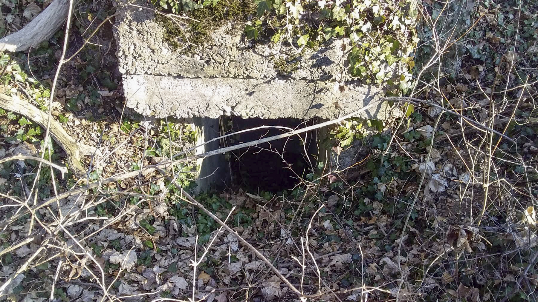 Ligne Maginot - AKAZIEN - GOLDGRUBE 3 - (Blockhaus pour arme infanterie) - Première entrée partiellement bouchée