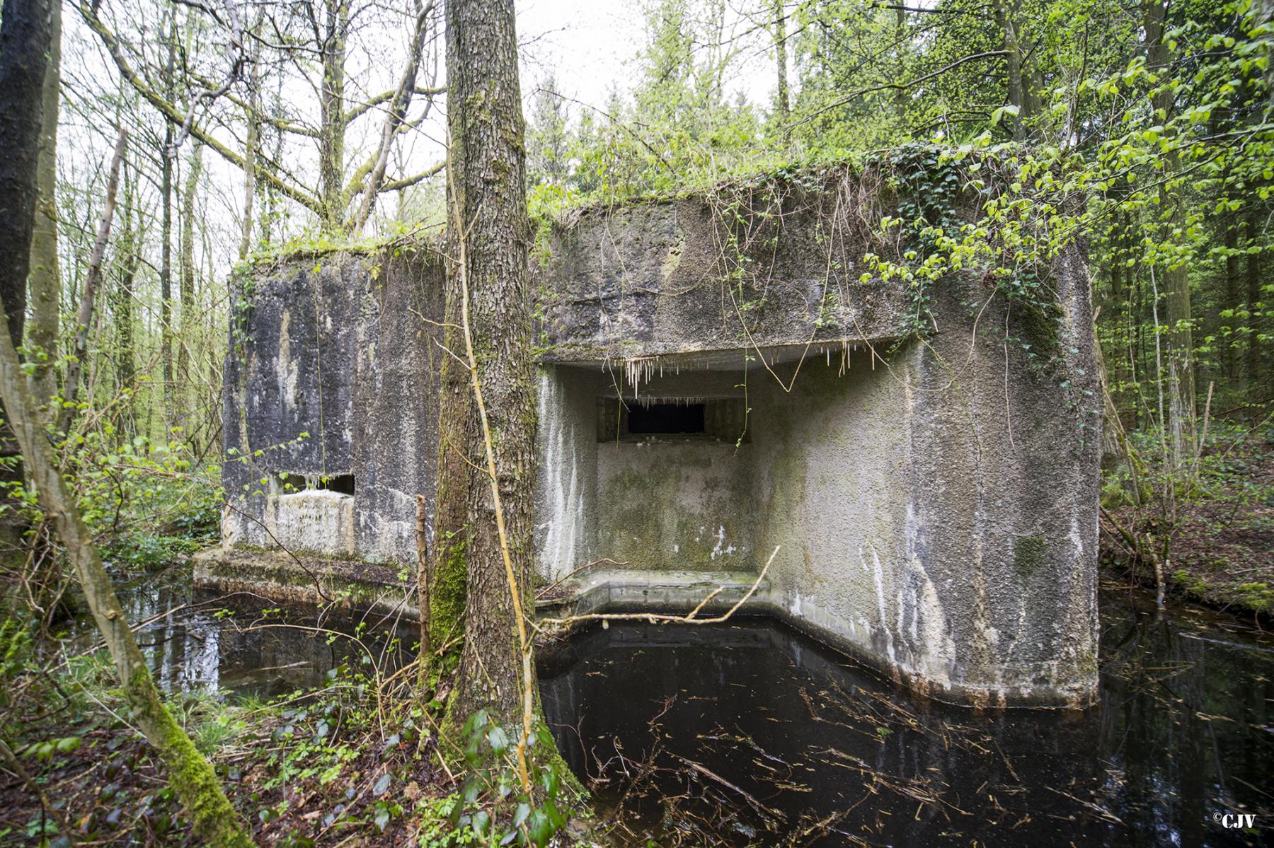 Ligne Maginot - A18 - CARREFOUR AMELIE OUEST - (Blockhaus pour canon) - 