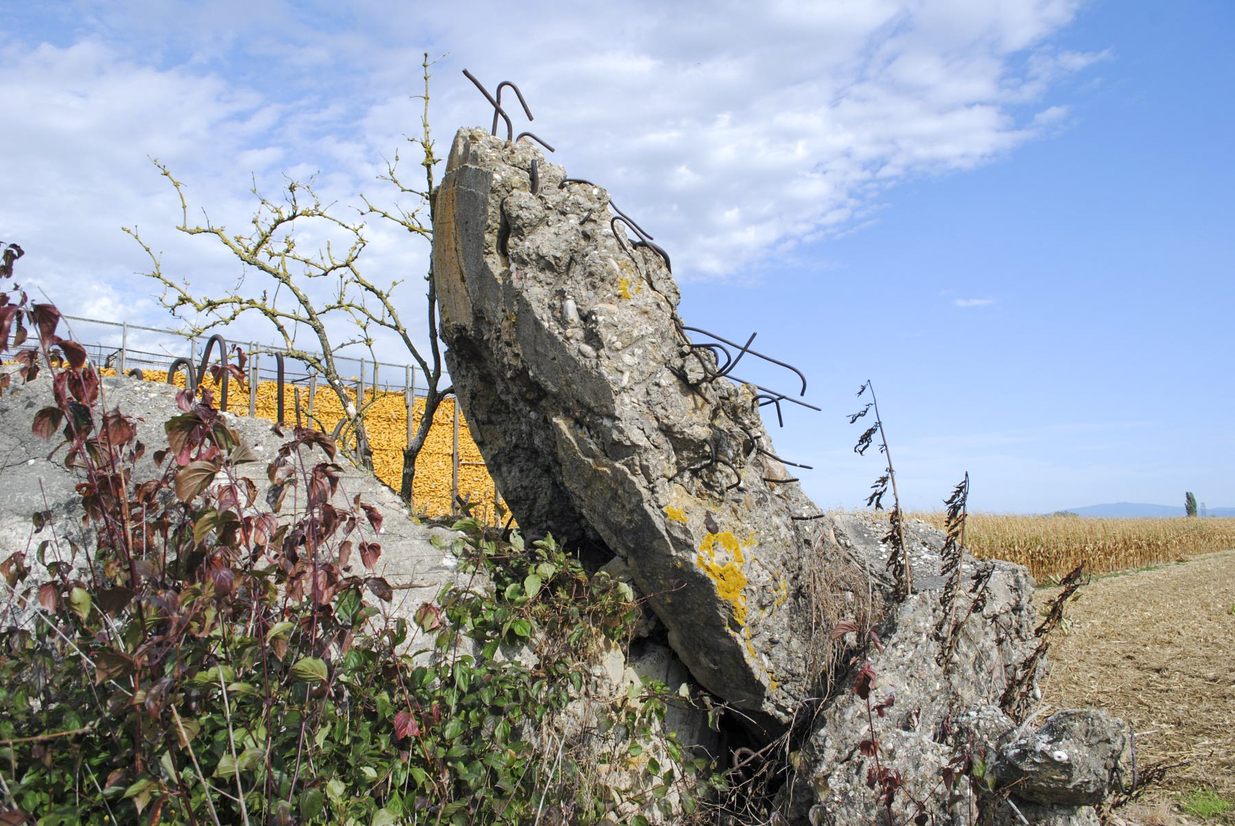 Ligne Maginot - OBERSAASHEIM SUD 1 - (Blockhaus de type indéterminé) - 