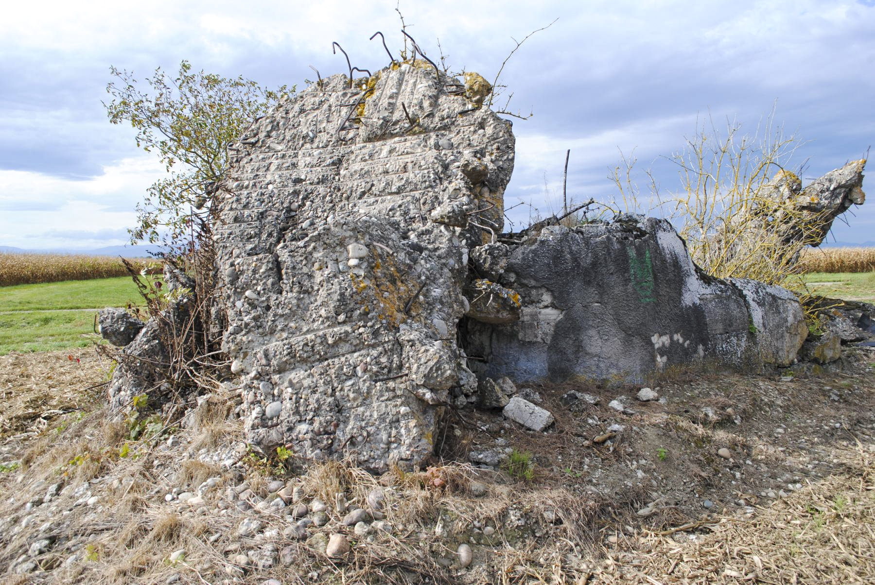 Ligne Maginot - OBERSAASHEIM SUD 1 - (Blockhaus de type indéterminé) - 