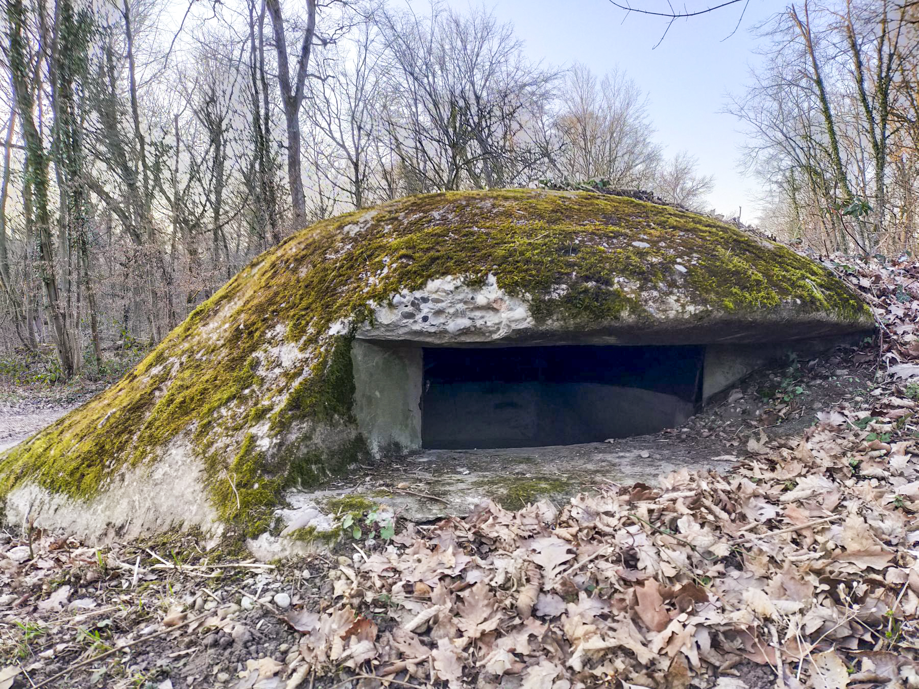 Ligne Maginot - PA DU CARREFOUR 252-1 - (Blockhaus pour arme infanterie) - 