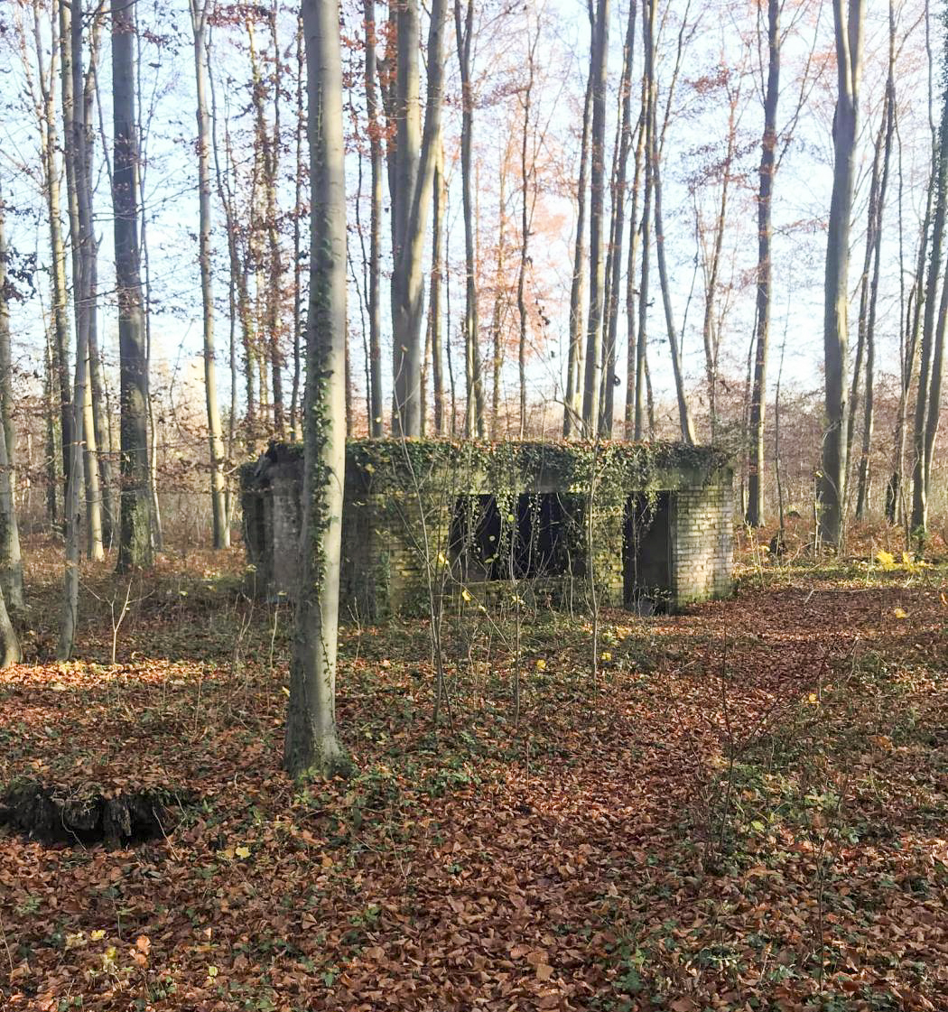 Ligne Maginot - WOERTHWALD (CR MITTELKOPF ) - (PC) - Vue générale