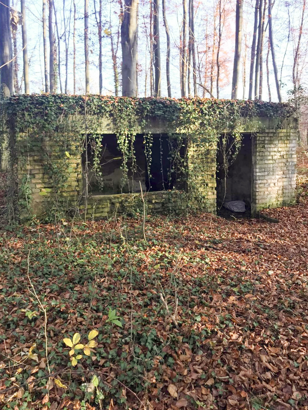 Ligne Maginot - WOERTHWALD (CR MITTELKOPF ) - (PC) - 