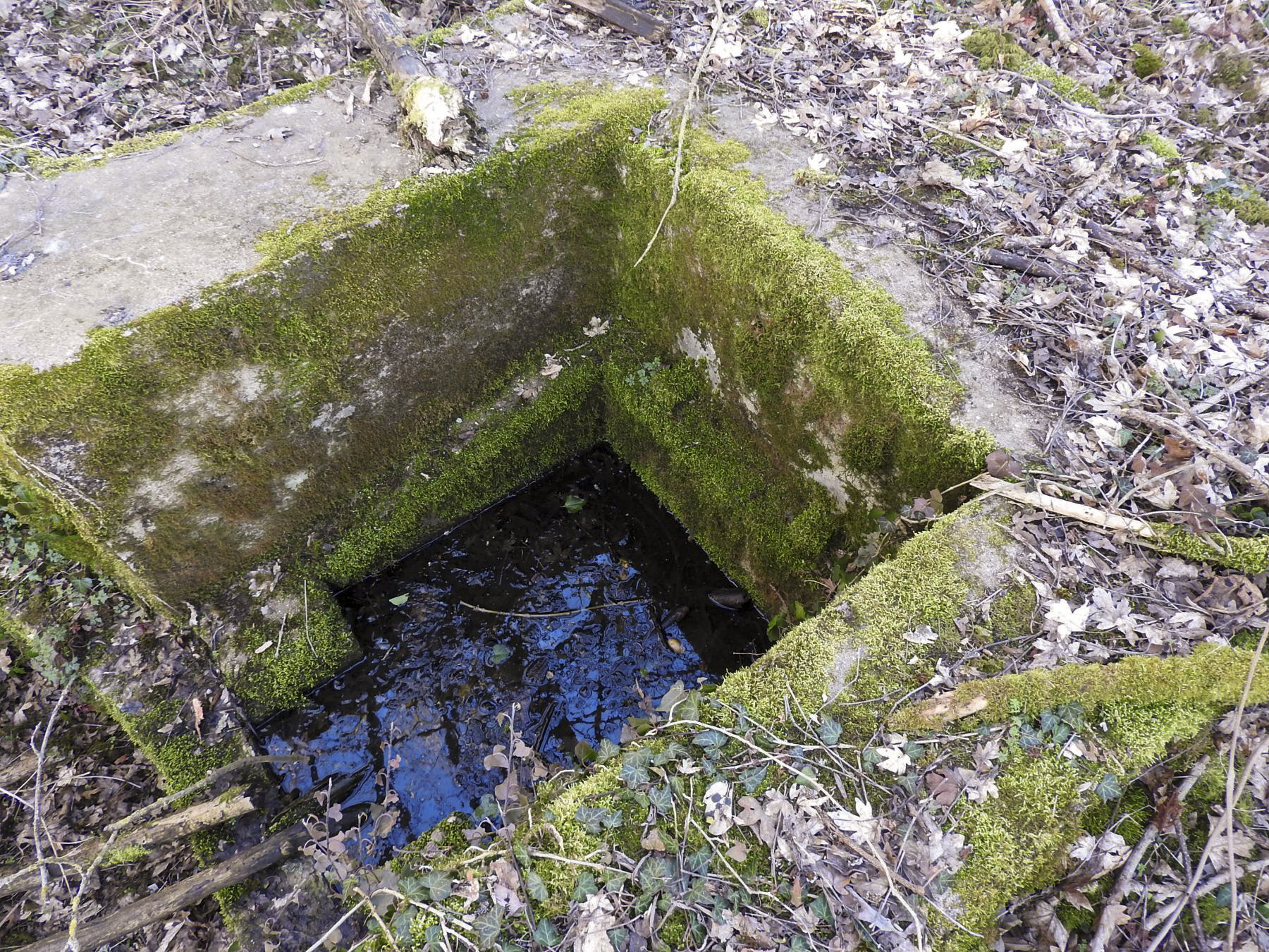 Ligne Maginot - BC1 - HOCHGERICHT - (Cuve pour canon) - Le puits d'accès à l'abri non construit.