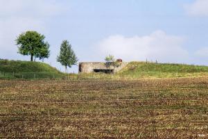 Ligne Maginot - MENSKIRCH - C57 - (Casemate d'infanterie - double) - Vue de la casemate parfaitement intégrée dans la levée de terrain ou elle est construite