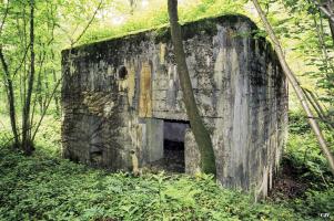 Ligne Maginot - A21 - PEUPLIER EST - (Blockhaus pour canon) - 