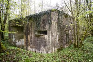 Ligne Maginot - A21 - PEUPLIER EST - (Blockhaus pour canon) - 