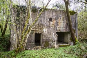 Ligne Maginot - A21 - PEUPLIER EST - (Blockhaus pour canon) - 