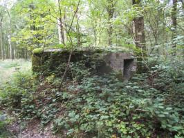 Ligne Maginot - BA23 - ROUTE FORESTIÈRE MEUNIER SUD - (Blockhaus pour arme infanterie) - Blockhaus situé entre la route forestière Meunier et la route forestière des Faux.