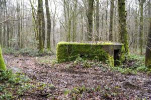 Ligne Maginot - BA23 - ROUTE FORESTIÈRE MEUNIER SUD - (Blockhaus pour arme infanterie) - 