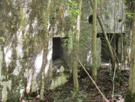 Ligne Maginot - AULNE OUEST - (Blockhaus pour canon) - Blockhaus situé à proximité de la route du Pas Bayart à l'Etoile.