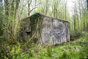 Ligne Maginot - AULNE OUEST - (Blockhaus pour canon) - 