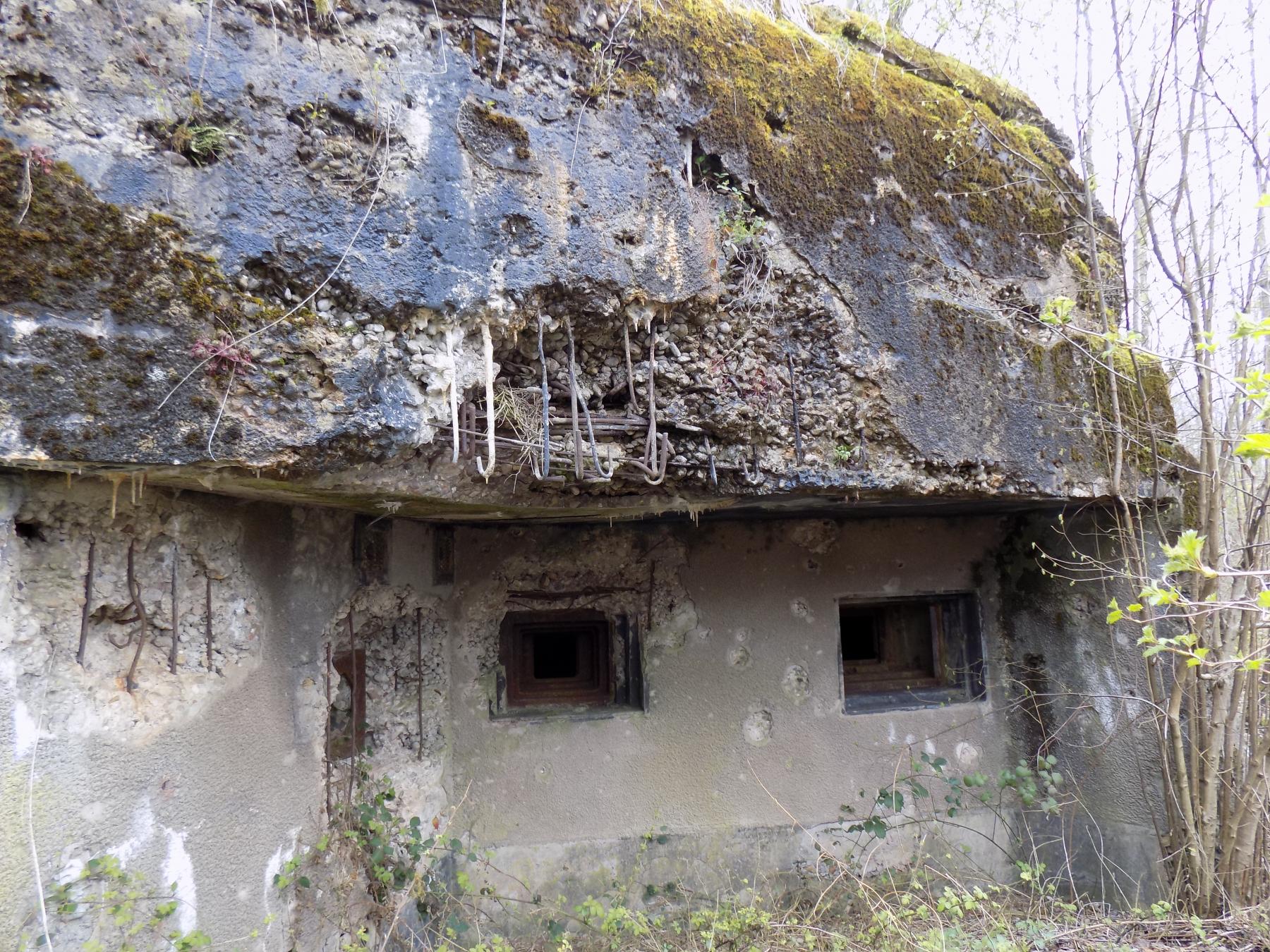 Ligne Maginot - FREUDENBERG - (Casemate d'infanterie) - Vue globale