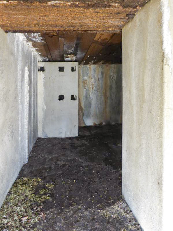 Ligne Maginot - A26-A - FONTAINE OUEST - (Blockhaus pour canon) - 