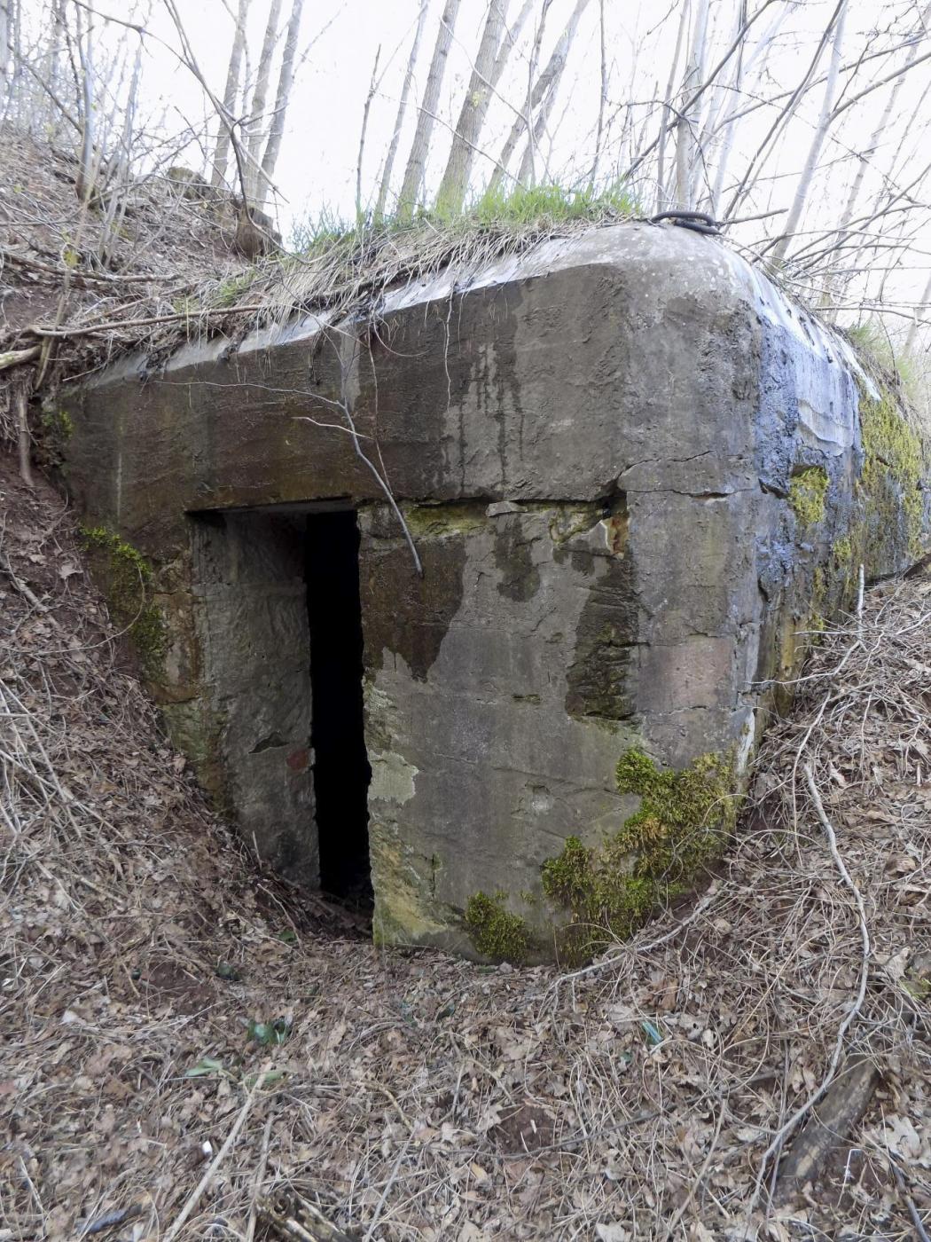 Ligne Maginot - GALGENBERG Est (Blockhaus pour arme infanterie) - L'entrée