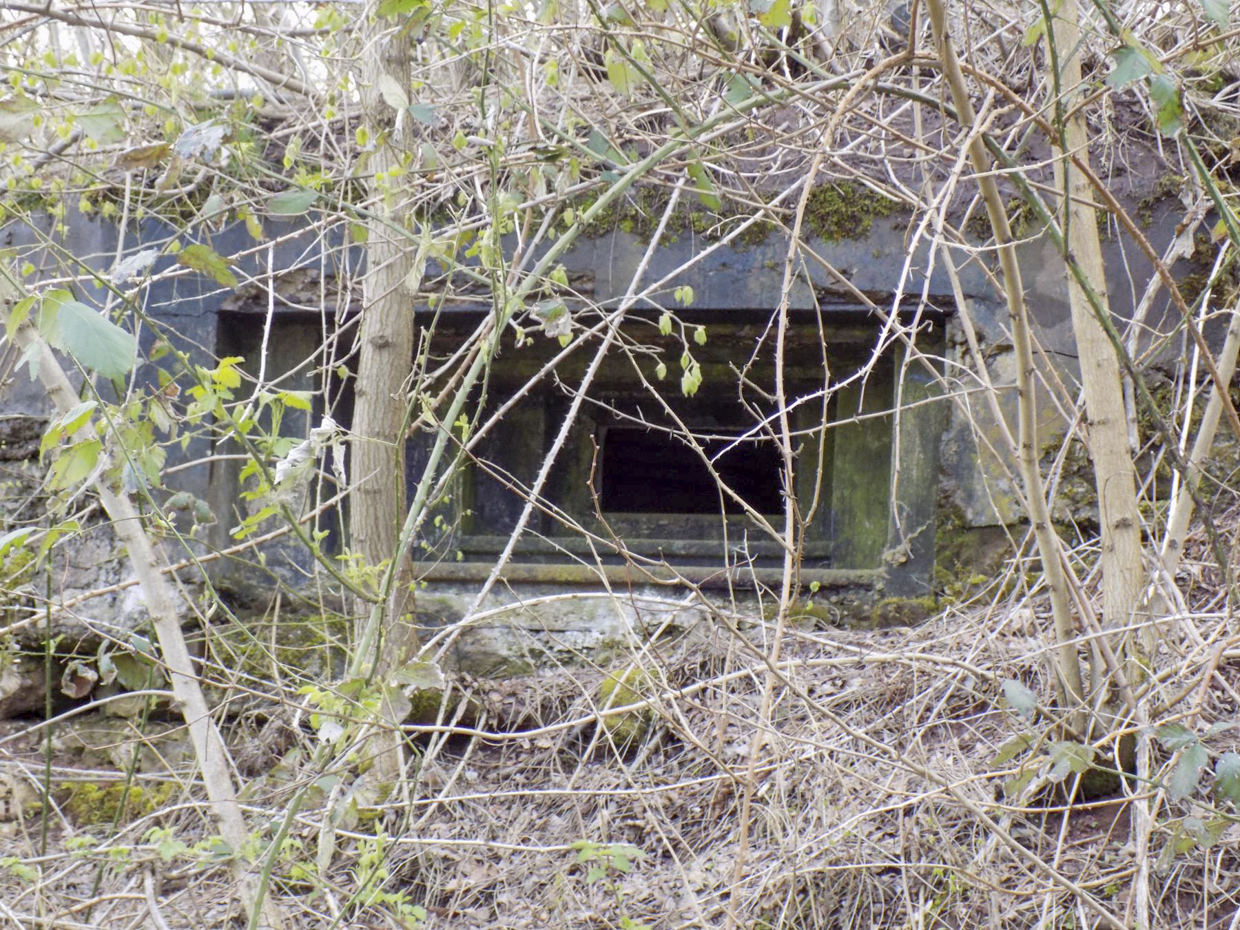 Ligne Maginot - GALGENBERG Est (Blockhaus pour arme infanterie) - Créneau face a la route