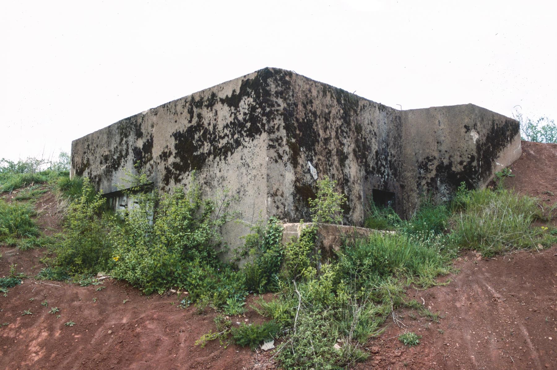 Ligne Maginot - HINTERHOLHECK SUD - (Blockhaus pour arme infanterie) - 