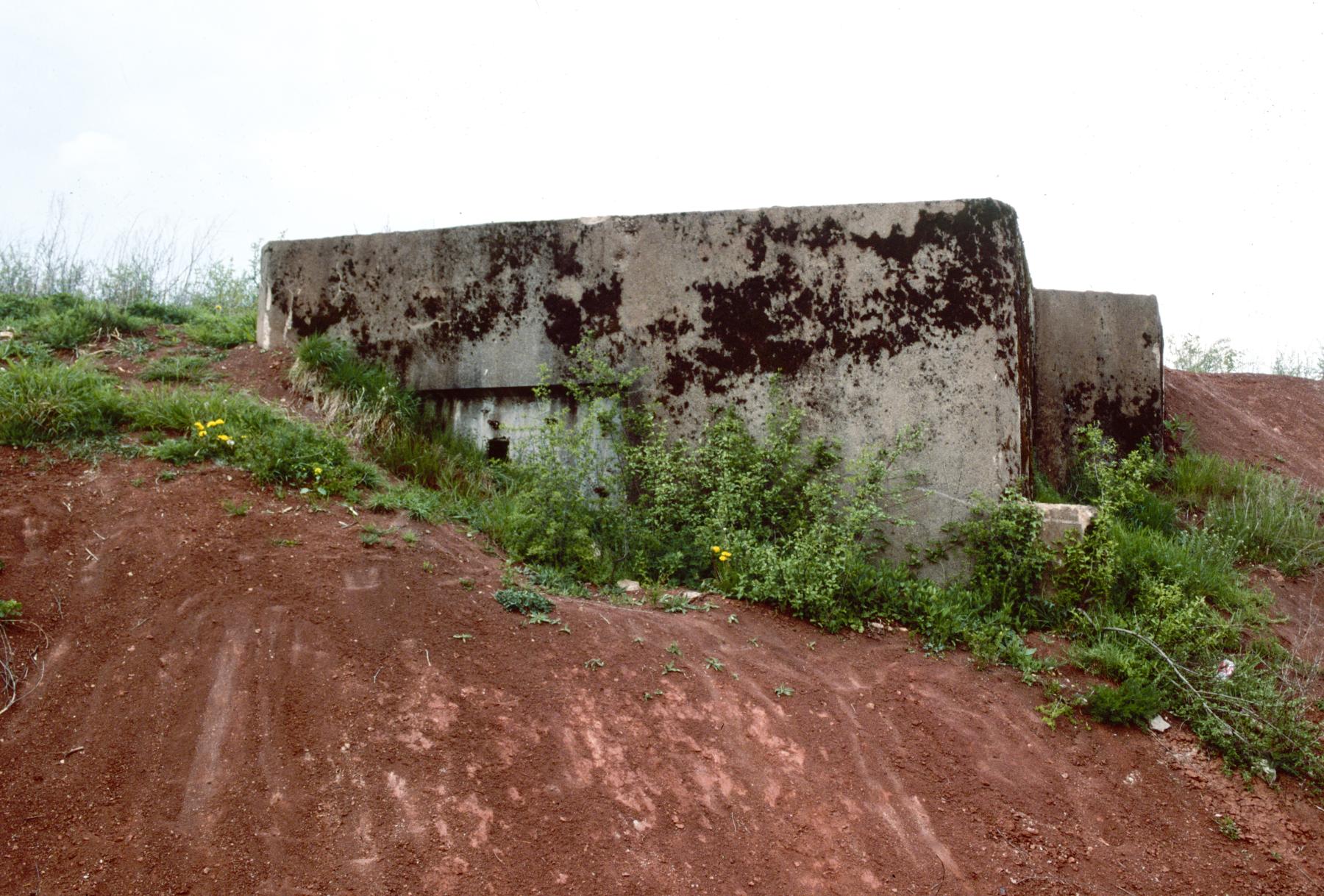 Ligne Maginot - HINTERHOLHECK SUD - (Blockhaus pour arme infanterie) - 