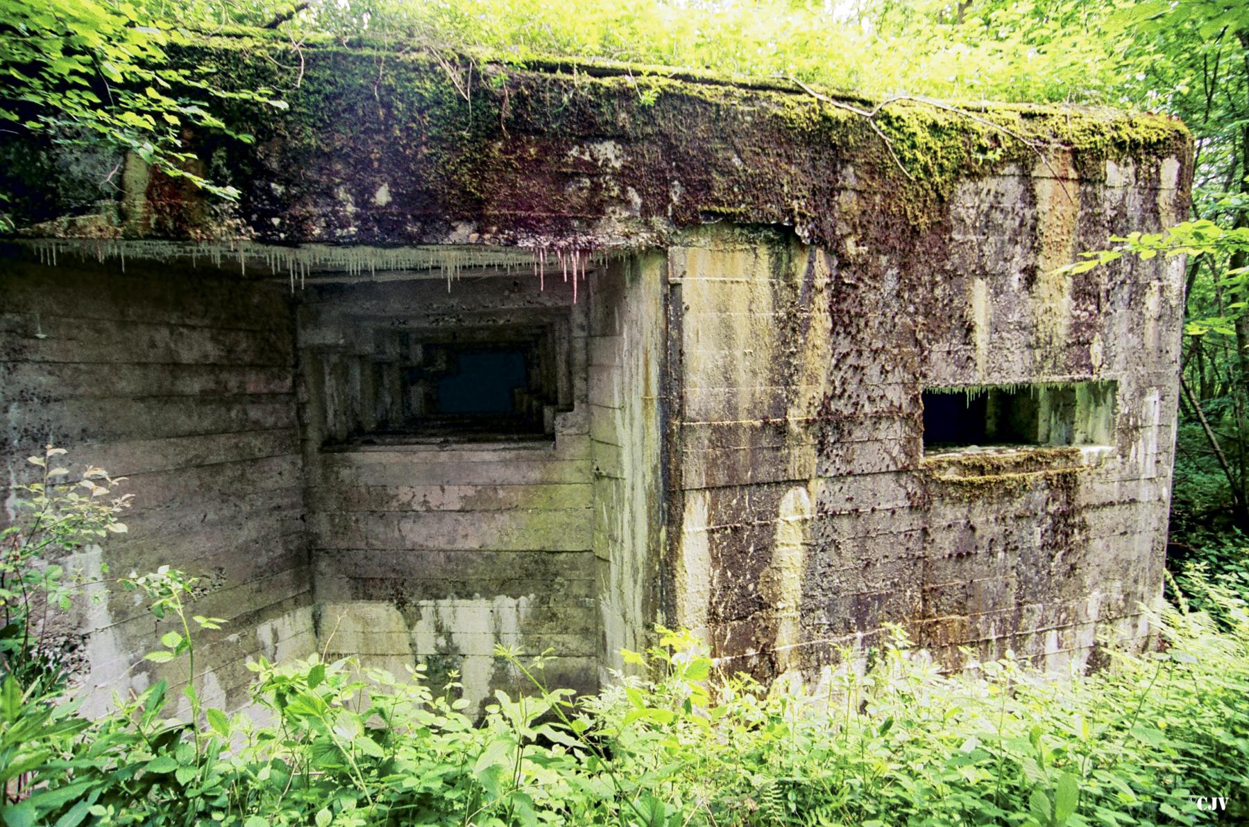 Ligne Maginot - A21 - PEUPLIER EST - (Blockhaus pour canon) - 