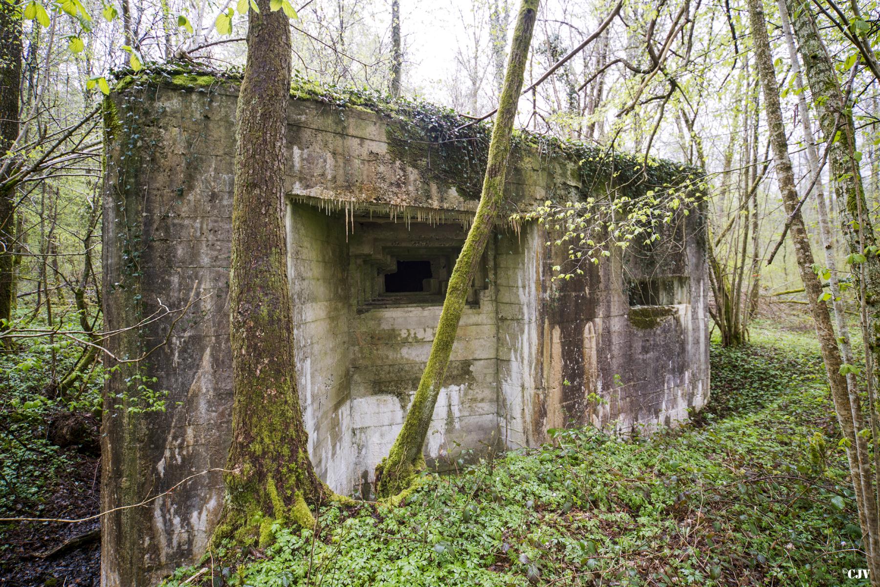 Ligne Maginot - A21 - PEUPLIER EST - (Blockhaus pour canon) - 