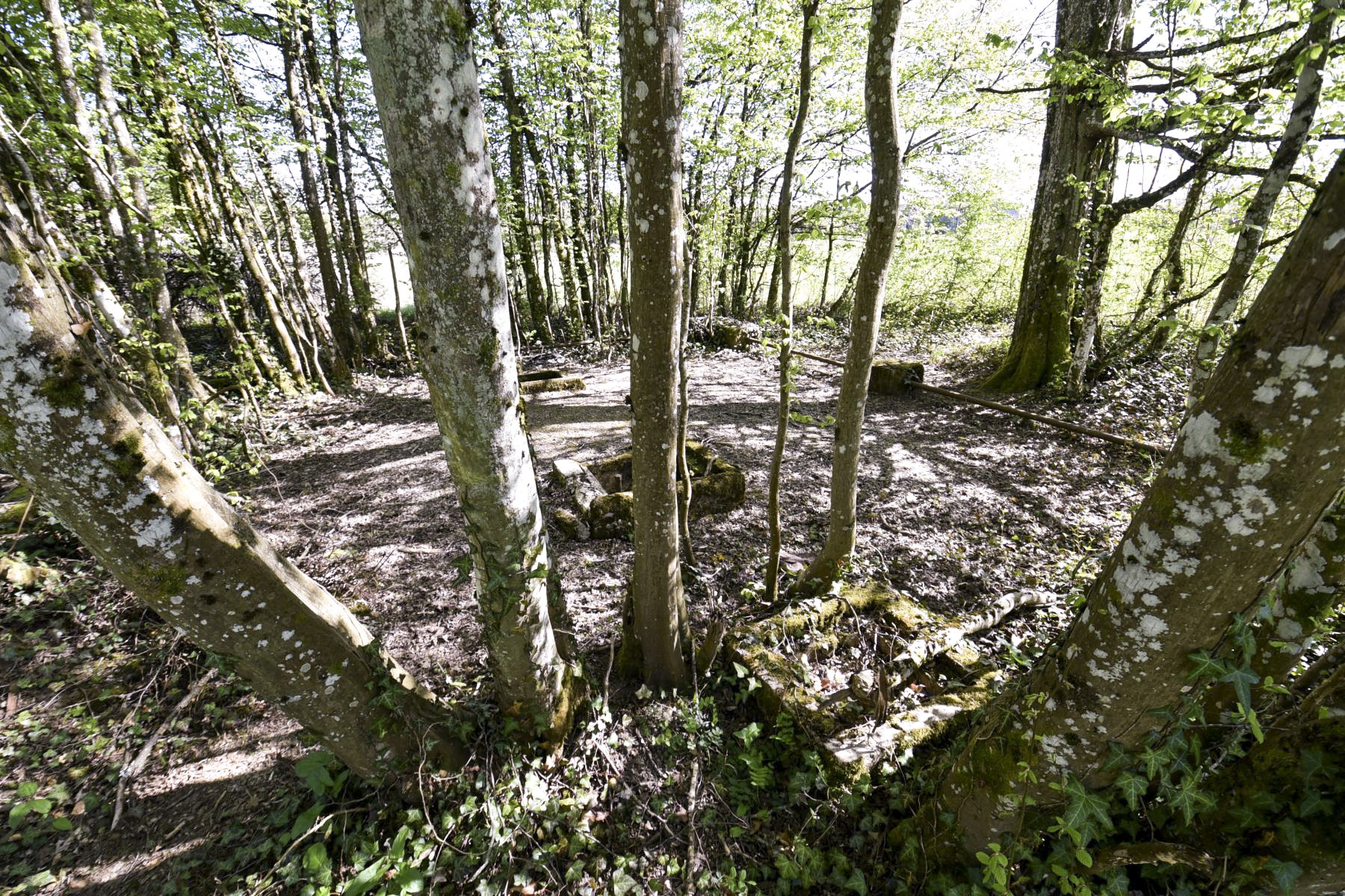 Ligne Maginot - ANGEVILLERS (CAMP) - (Camp de sureté) - 