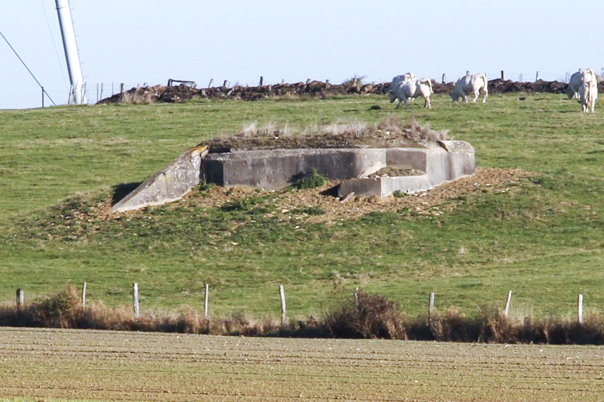 Ligne Maginot - AB23 - (Blockhaus pour canon) - Pris de la départementale