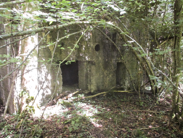 Ligne Maginot - A22 - ACCACIA - (Blockhaus pour canon) - Blockhaus situé entre la Route de l'Etang et la route du Pas Bayart à l'Etoile.