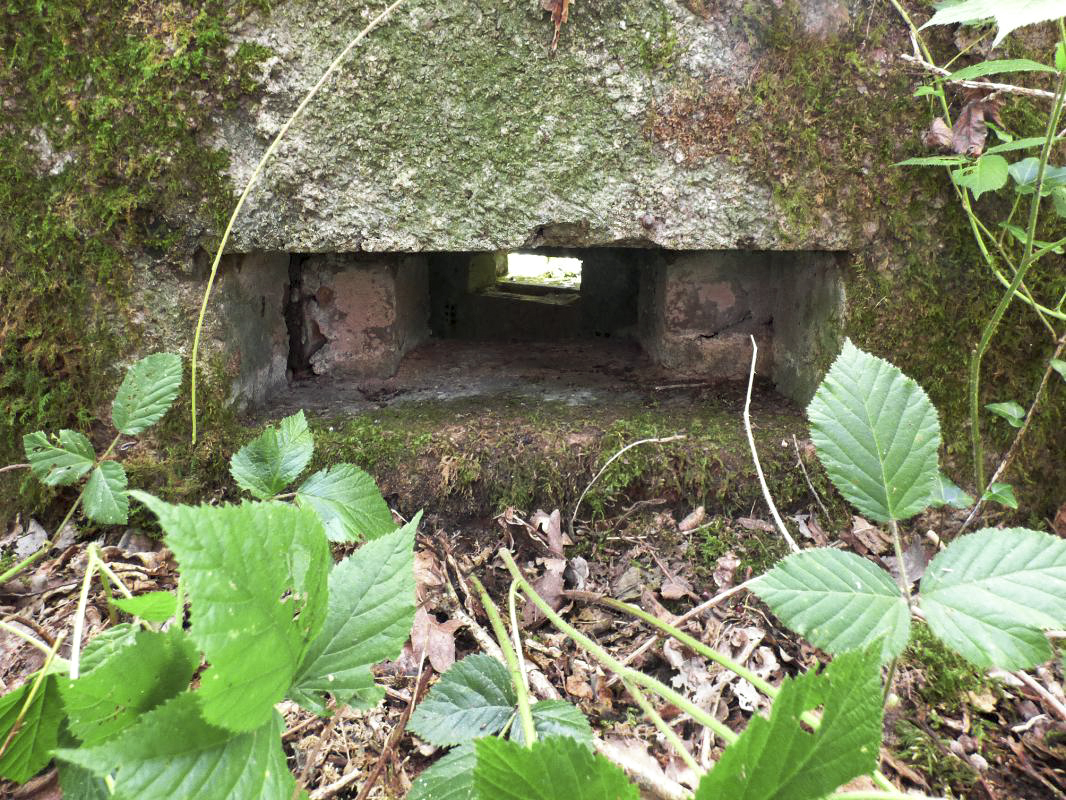 Ligne Maginot - BA23 - ROUTE FORESTIÈRE MEUNIER SUD - (Blockhaus pour arme infanterie) - 