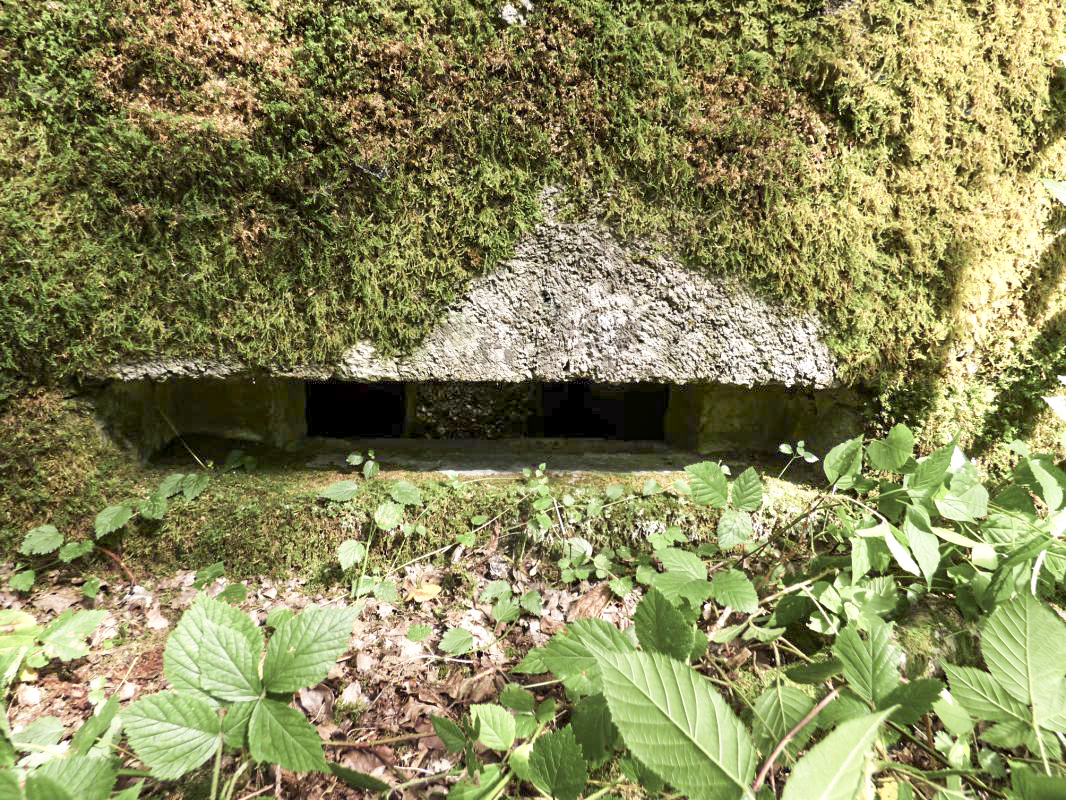 Ligne Maginot - BA23 - ROUTE FORESTIÈRE MEUNIER SUD - (Blockhaus pour arme infanterie) - 