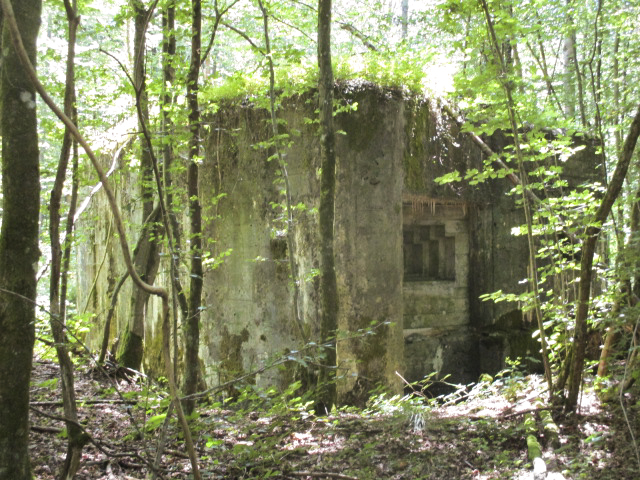 Ligne Maginot - AULNE OUEST - (Blockhaus pour canon) - Blockhaus situé à proximité de la route du Pas Bayart à l'Etoile.