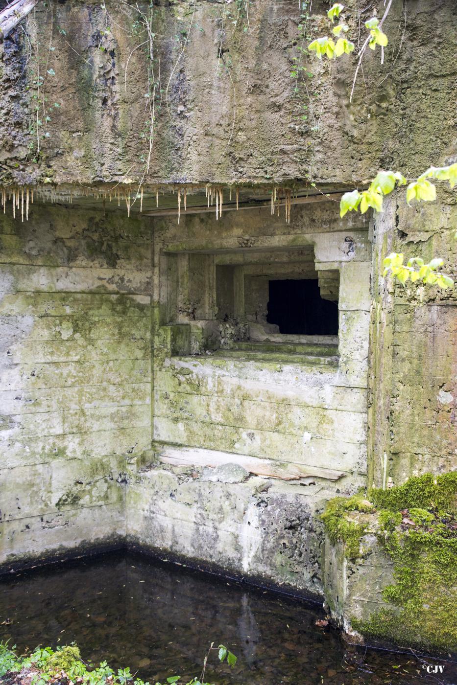 Ligne Maginot - AULNE OUEST - (Blockhaus pour canon) - 