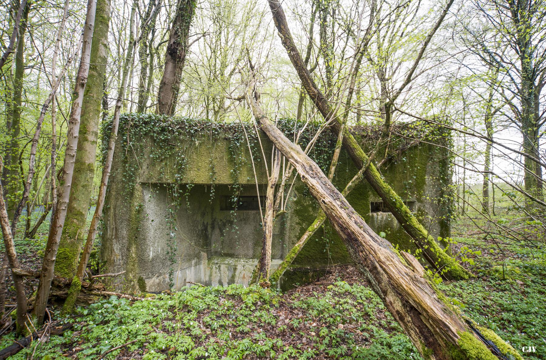 Ligne Maginot - Blockhaus A26-C Fontaine Est - 