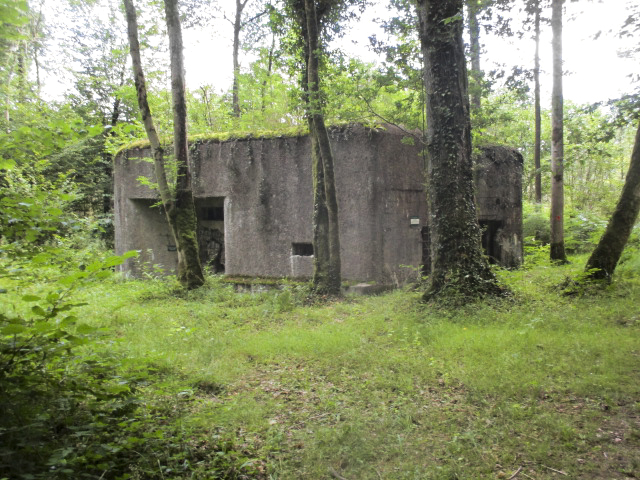 Ligne Maginot - A26 - FURET - (Blockhaus pour canon) - Blockhaus situé dans son environnement