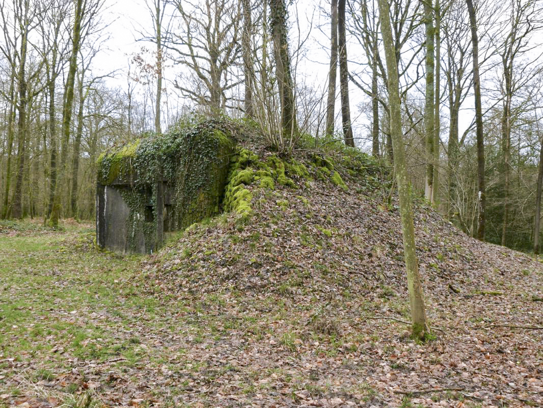 Ligne Maginot - A27 - ROUTE DE L'INSPECTEUR OUEST - (Blockhaus pour canon) - 