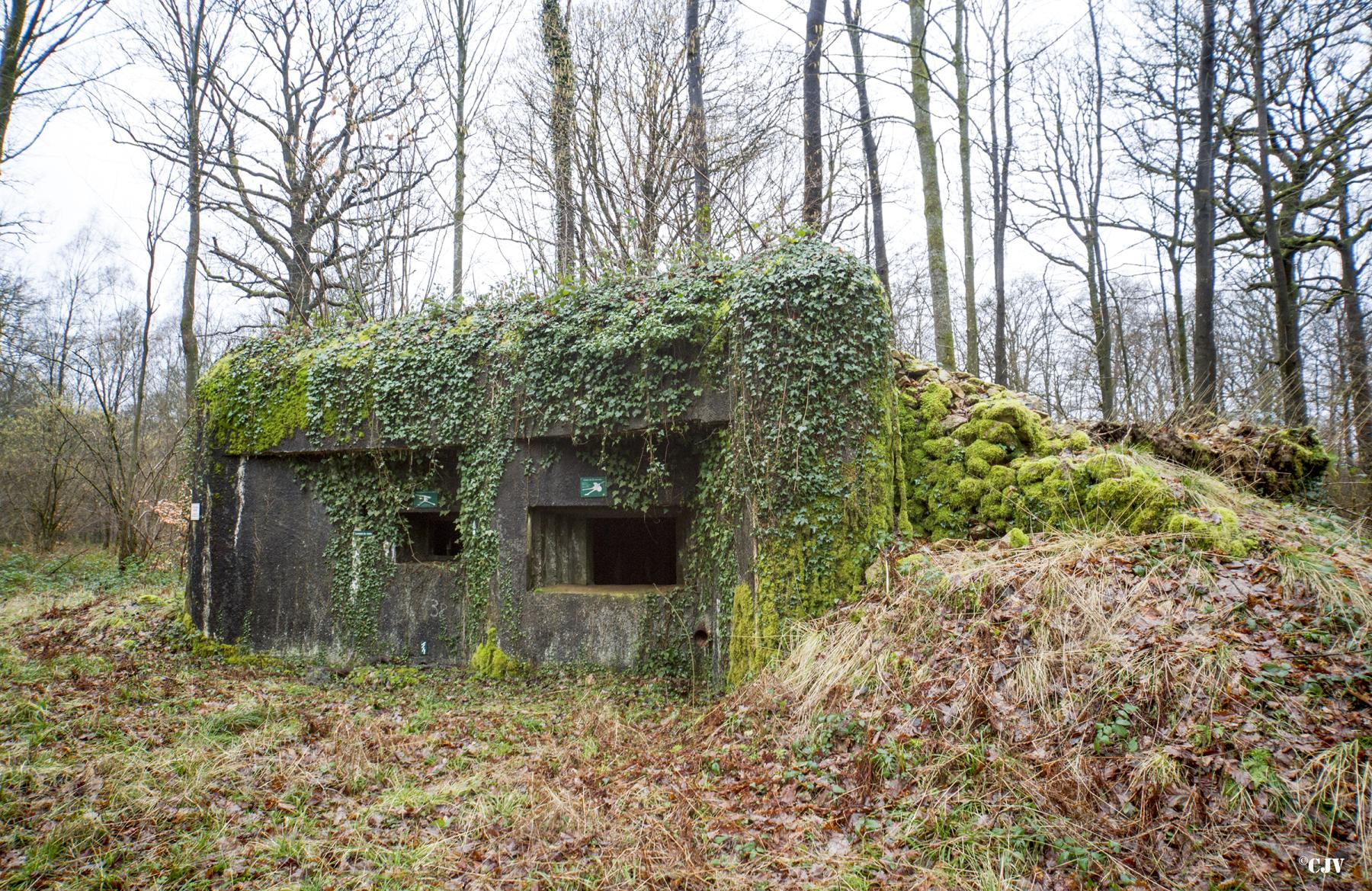 Ligne Maginot - A27 - ROUTE DE L'INSPECTEUR OUEST - (Blockhaus pour canon) - 