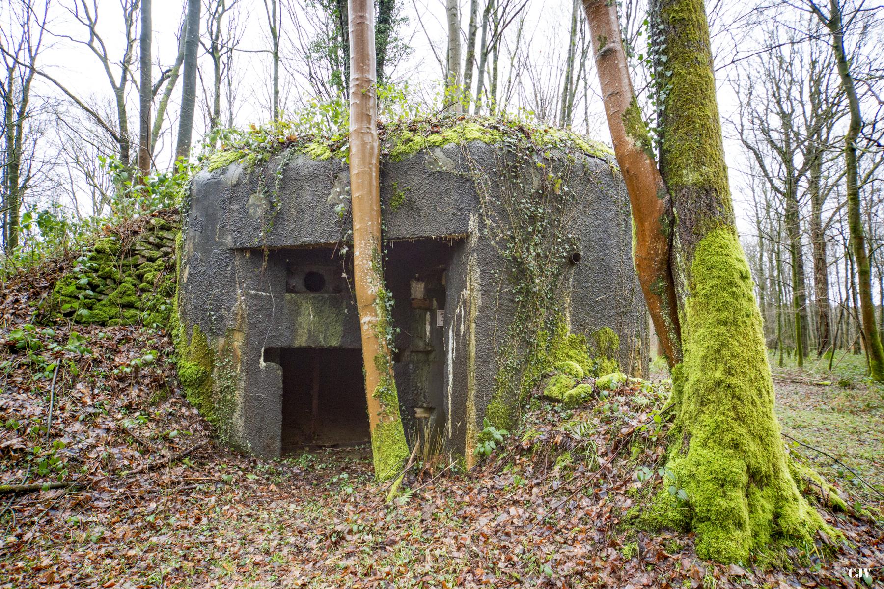 Ligne Maginot - A28 - ROUTE DE L'INSPECTEUR EST - (Blockhaus pour canon) - 