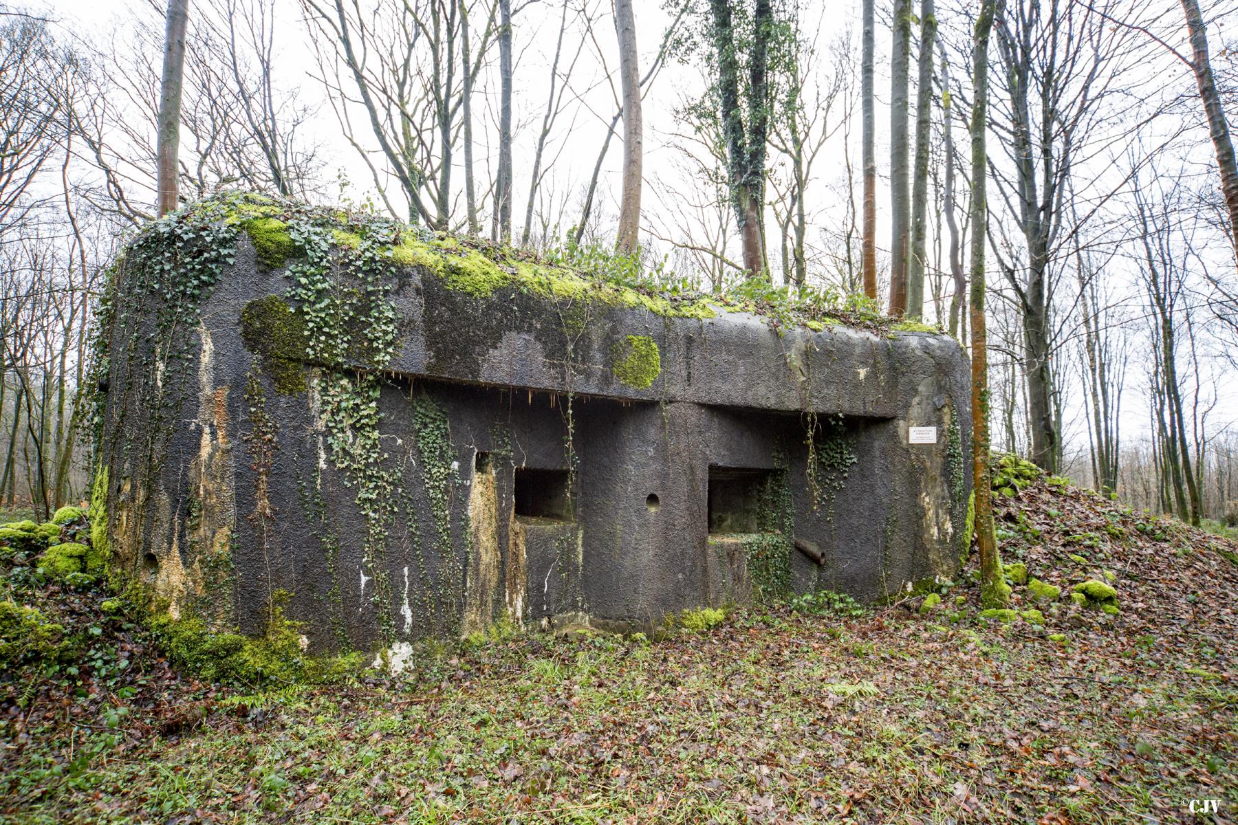 Ligne Maginot - A28 - ROUTE DE L'INSPECTEUR EST - (Blockhaus pour canon) - 