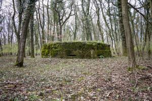 Ligne Maginot - BOIS DE TETING 3 - (Blockhaus pour arme infanterie) - Poste observatoire et tir